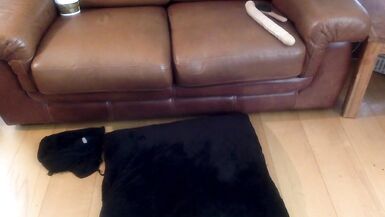 Sissy Whore bonks one as well as the other her holes for dad - 9 image