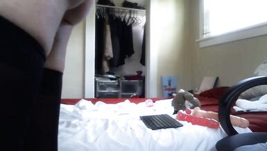 cock lady-boy paramours - 12 image