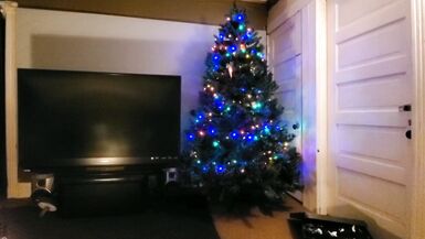 Crystal and her Christmas tree - 8 image