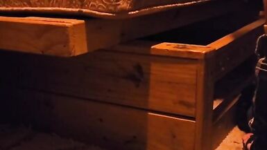 One More day for Bolt take a load - 10 image