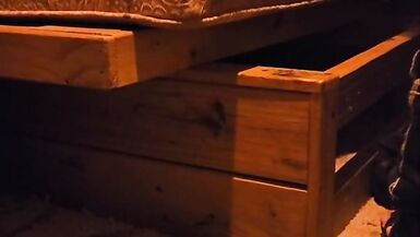 One More day for Bolt take a load - 11 image