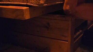 One More day for Bolt take a load - 13 image