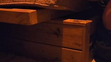 One More day for Bolt take a load - 2 image