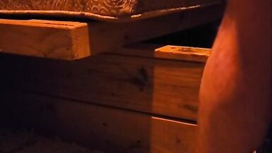 One More day for Bolt take a load - 5 image