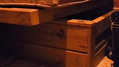 One More day for Bolt take a load - 7 image