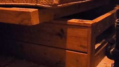 One More day for Bolt take a load - 8 image