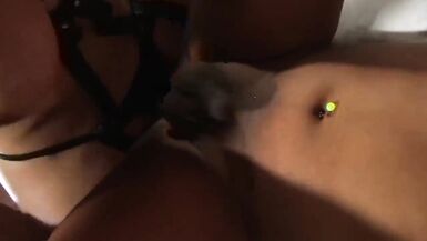 Tranny Anal - Trans woman with a great butt and a great cock - 14 image