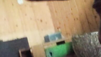 Tenn Hotty alicia mastrubation pumping wet crack - 10 image