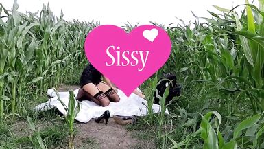 Sissy second Cornfield - 2 image