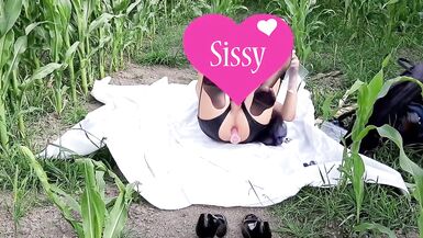 Sissy second Cornfield - 6 image