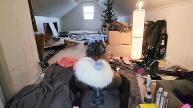 Cute Trans Blue Dog Plays With Toy - 5 image