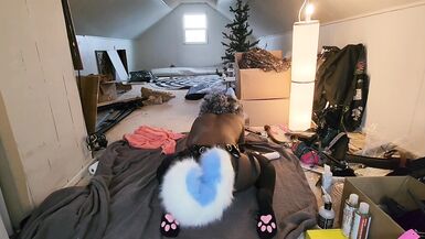 Cute Trans Blue Dog Plays With Toy - 8 image