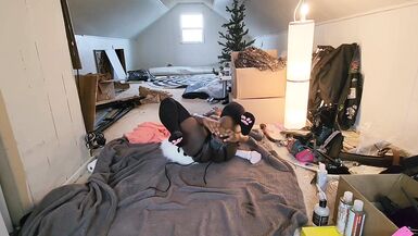 Cute Trans Blue Dog Plays With Toy - 9 image