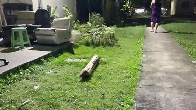 FN028 Fampfy nana sex solo - 1 image