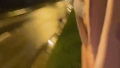 Sunny ejaculation for truckers - 4 image