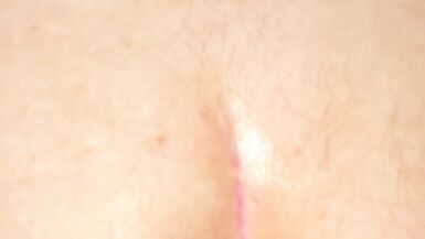 dragon boi riding Fuxi the werewolf - 12 image