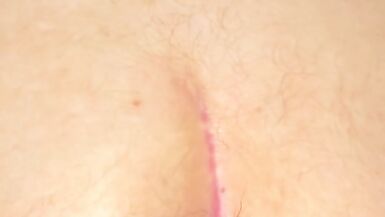 dragon boi riding Fuxi the werewolf - 14 image