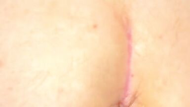 dragon boi riding Fuxi the werewolf - 2 image