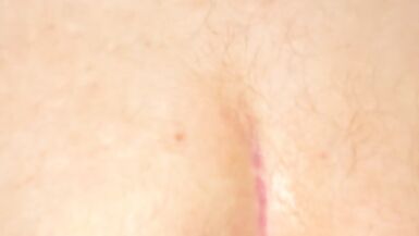 dragon boi riding Fuxi the werewolf - 7 image