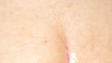 dragon boi riding Fuxi the werewolf - 8 image