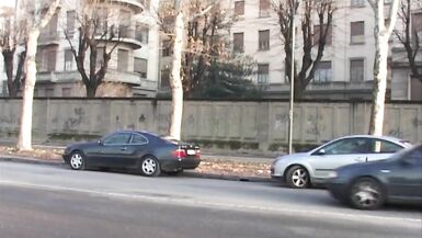 Ho Transexual Desire - 2 image