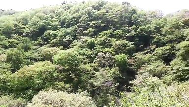 Pai-chan's Naked Hike-2 - 3 image