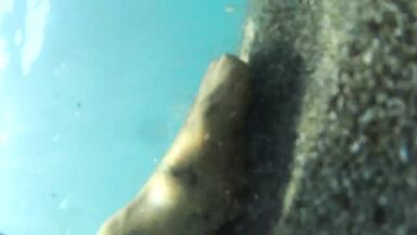 nylondelux nude pantyhose in the sea - 14 image