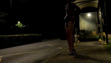 Audrey tgirl: real public hooker in a chastity cage - 2 image