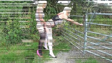 Two transvestites are fucking on the meadow - 1 image