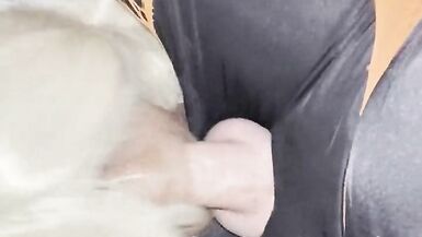 Trans gets it in all of her holes cums on face - 15 image