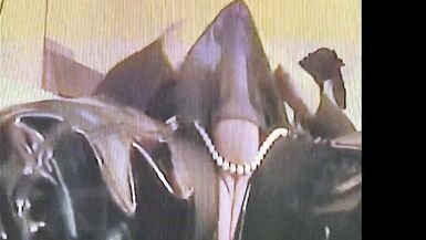 JGC - Just Gushing Cum w Dee Angels - 7 image