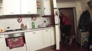 Waiting at home there is my shemale that want my dick #1 - 2 image