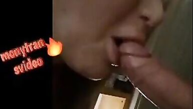 Monytransvideo RHO MILAN - 3 image