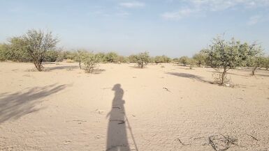 beautiful Trans naked in public with very hot heels and nice legs delicious erect penis - 2 image