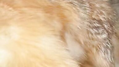 Blonde Sex doll gets fucked - 10 image