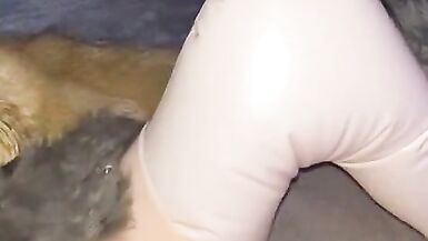 Blonde Sex doll gets fucked - 2 image