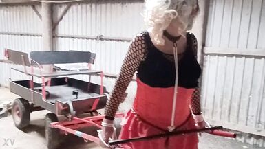 Sissyslave Ponytrained!! - 10 image