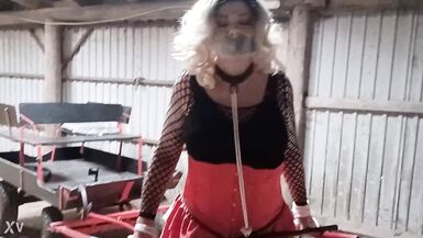 Sissyslave Ponytrained!! - 11 image