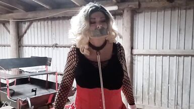 Sissyslave Ponytrained!! - 12 image