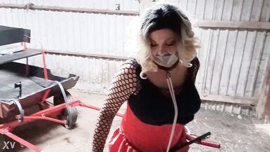 Sissyslave Ponytrained!! - 5 image