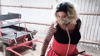 Sissyslave Ponytrained!! - 6 image