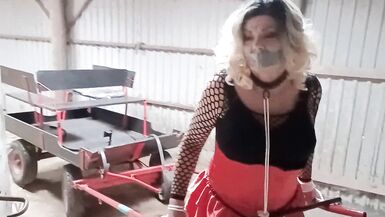 Sissyslave Ponytrained!! - 8 image