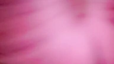 Trans teen deepthroating dildo - 13 image