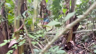 Mirella Diniz was lost in the waterfall when the perverted cameraman found her - 5 image