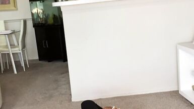 Ts study buddy Tranny surprise - 14 image