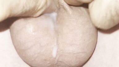 Micro cock is in hibernation - 7 image