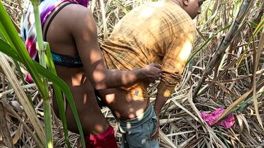 Indian Shemale - Two truck drivers and Shemale Pooja went to the Early this morning, sugarcane field Hard Fucking. - 1 image