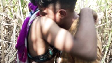 Indian Shemale - Two truck drivers and Shemale Pooja went to the Early this morning, sugarcane field Hard Fucking. - 14 image