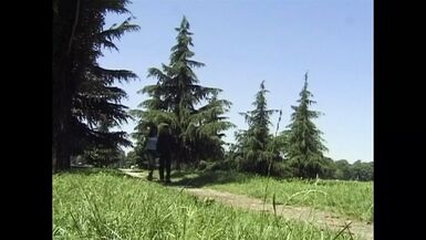 The Italian World of Trannies - 1 image