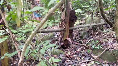 I FOUND THE HOT MIRELLA DINIZ ON THE TRAIL AND TOOK HER FOR A GOOD FUCK